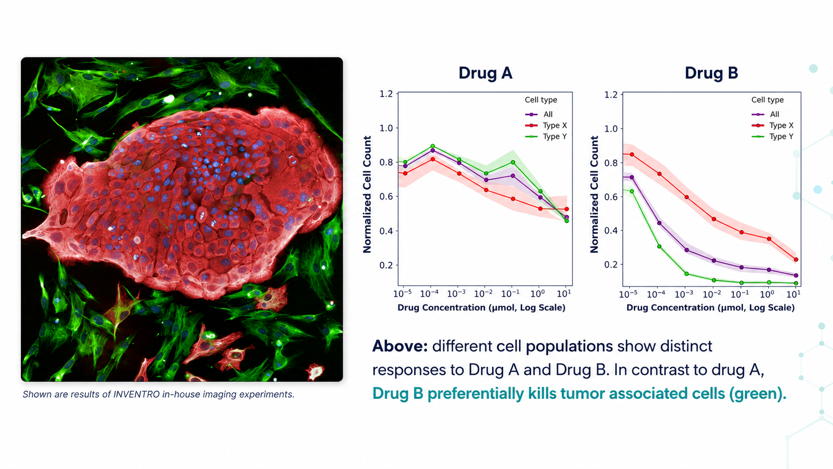 Drug A dose-response: normalised cell counts for All, Type X and Type Y across increasing compound concentrations on a logarithmic scale.